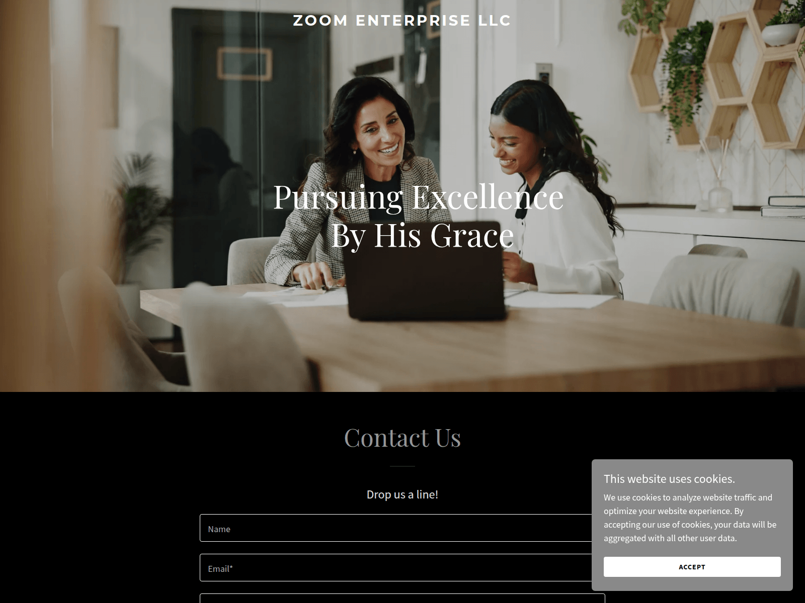 Screenshot of zoomenterprise.net