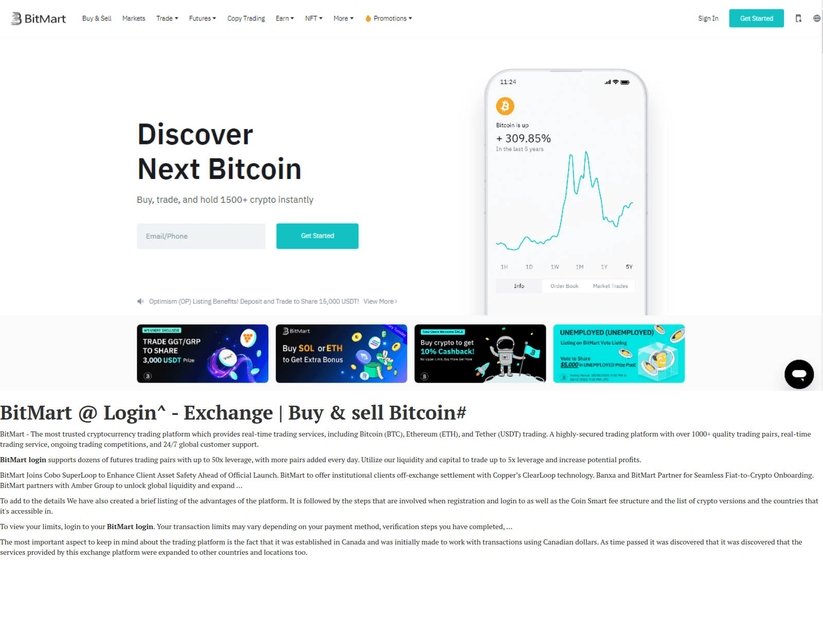 Forensic screenshot of birtemrtlogin.webflow.io