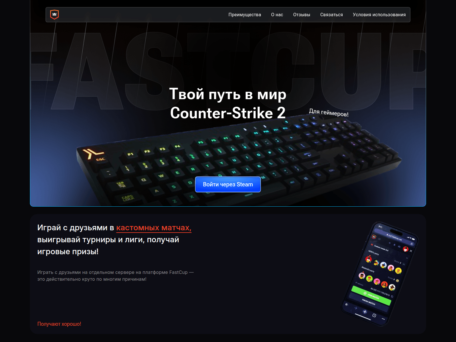 Screenshot of fastccp.com