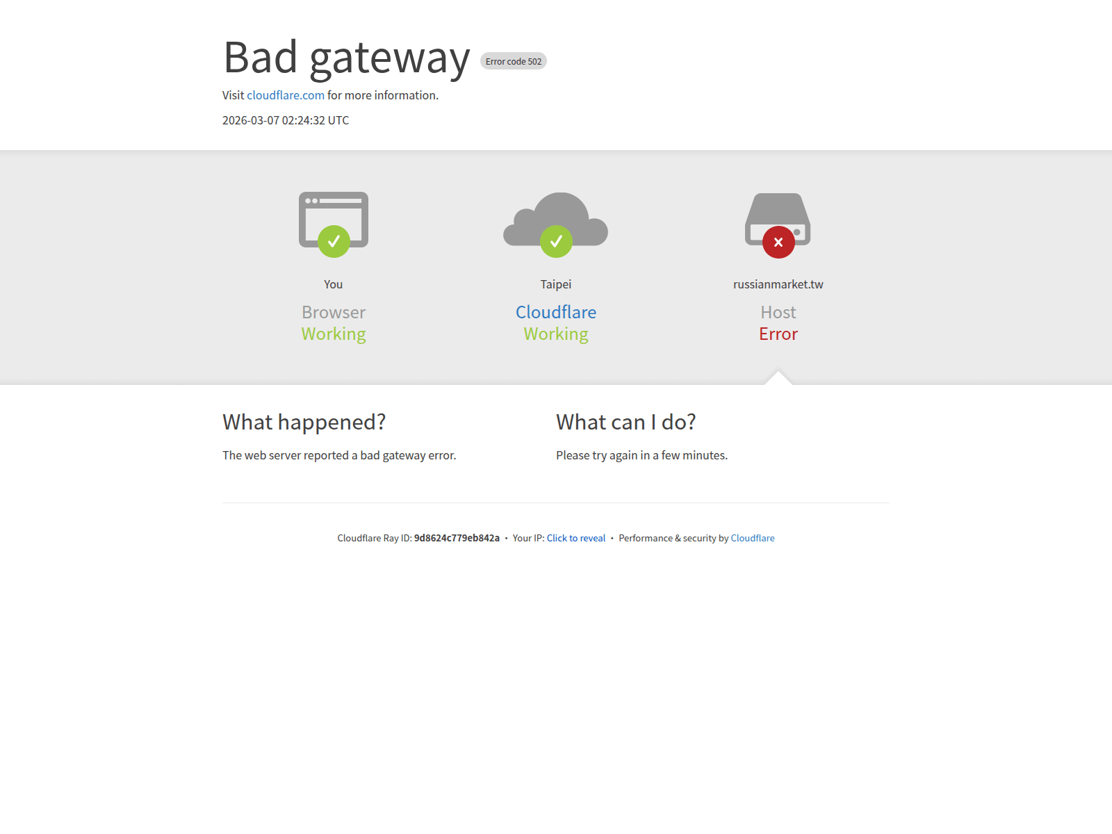 Forensic screenshot of russianmarket.tw