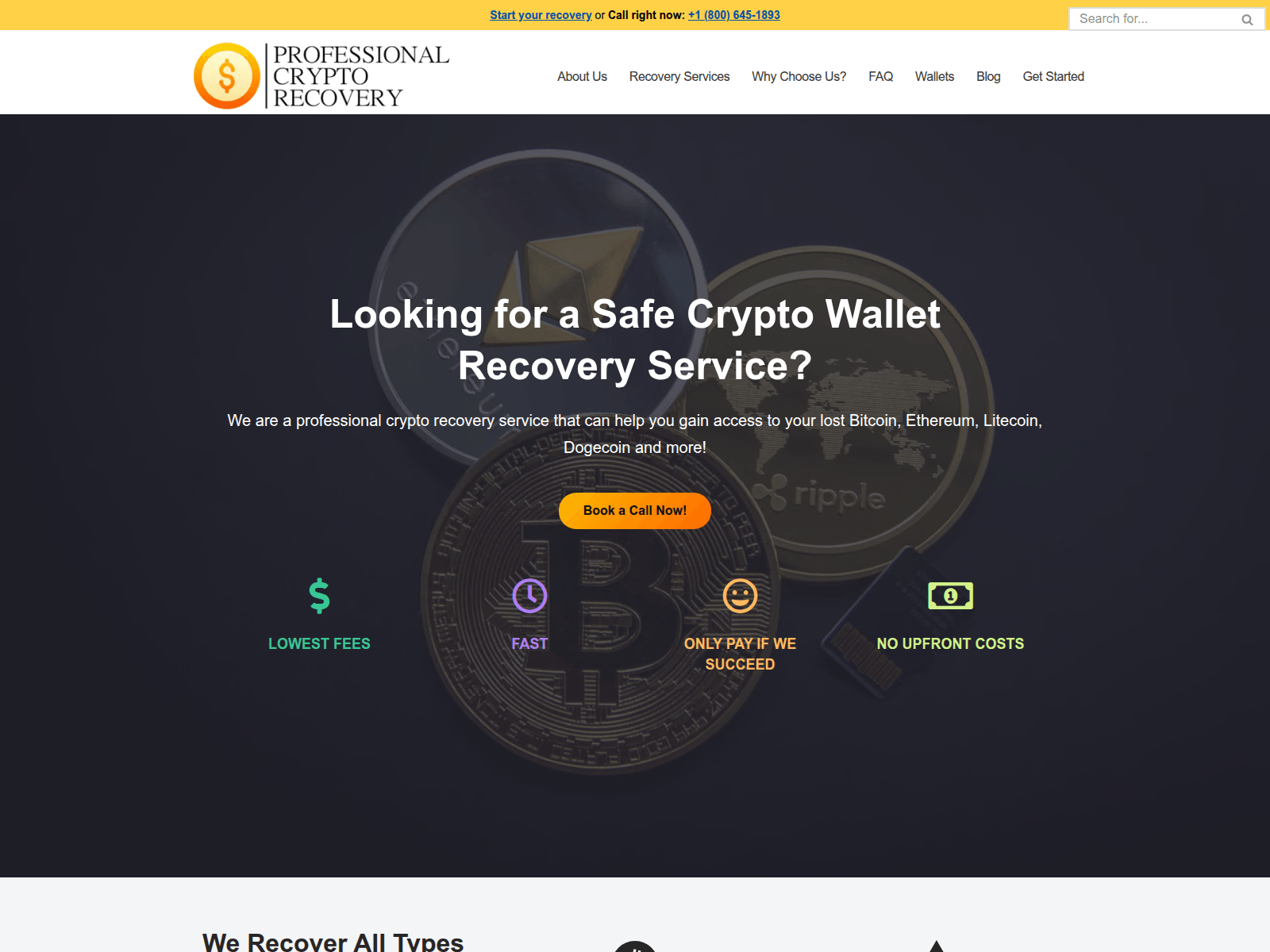 Screenshot of www.professionalcryptorecovery.com