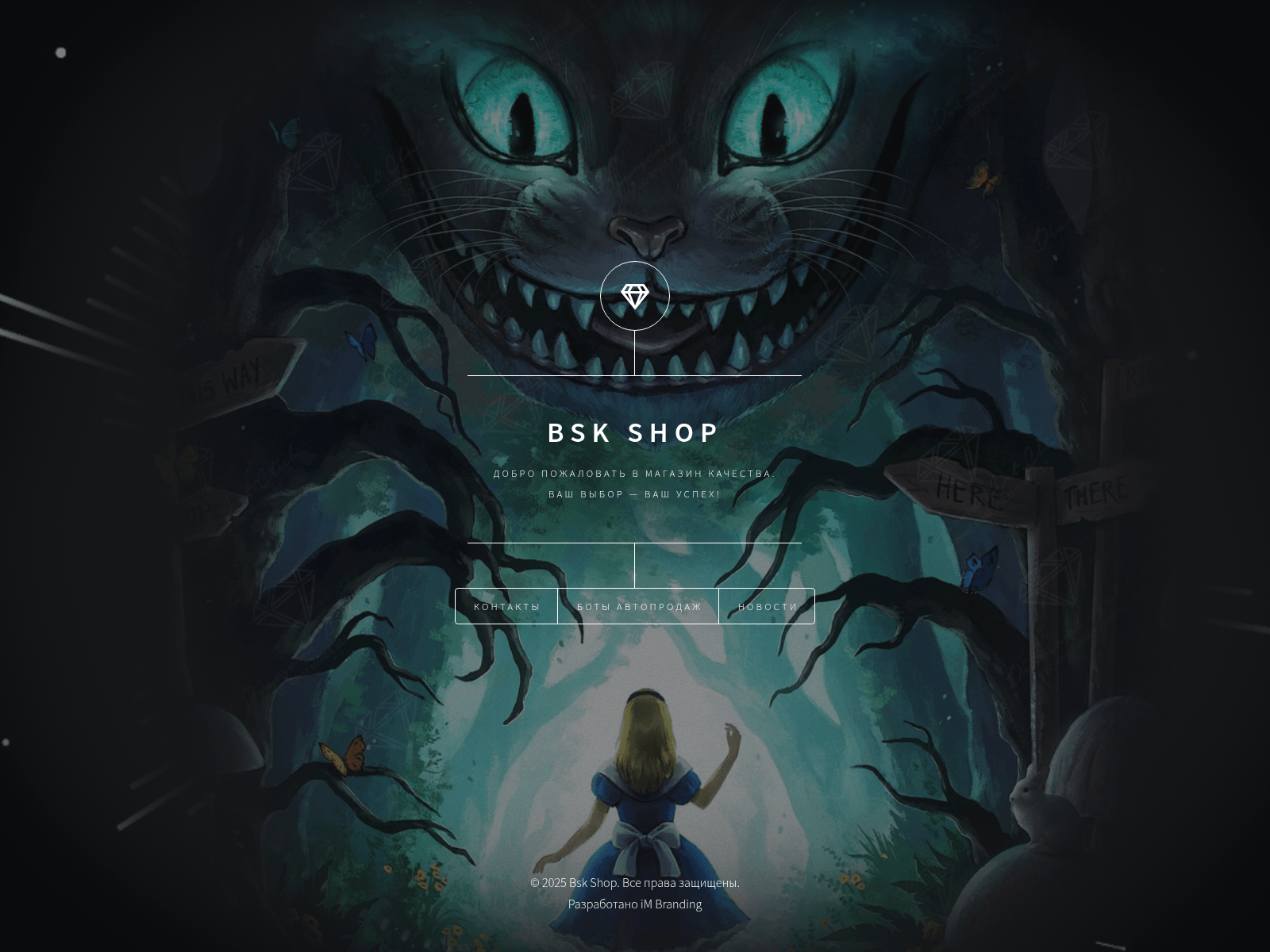 Screenshot of bsk24.cc