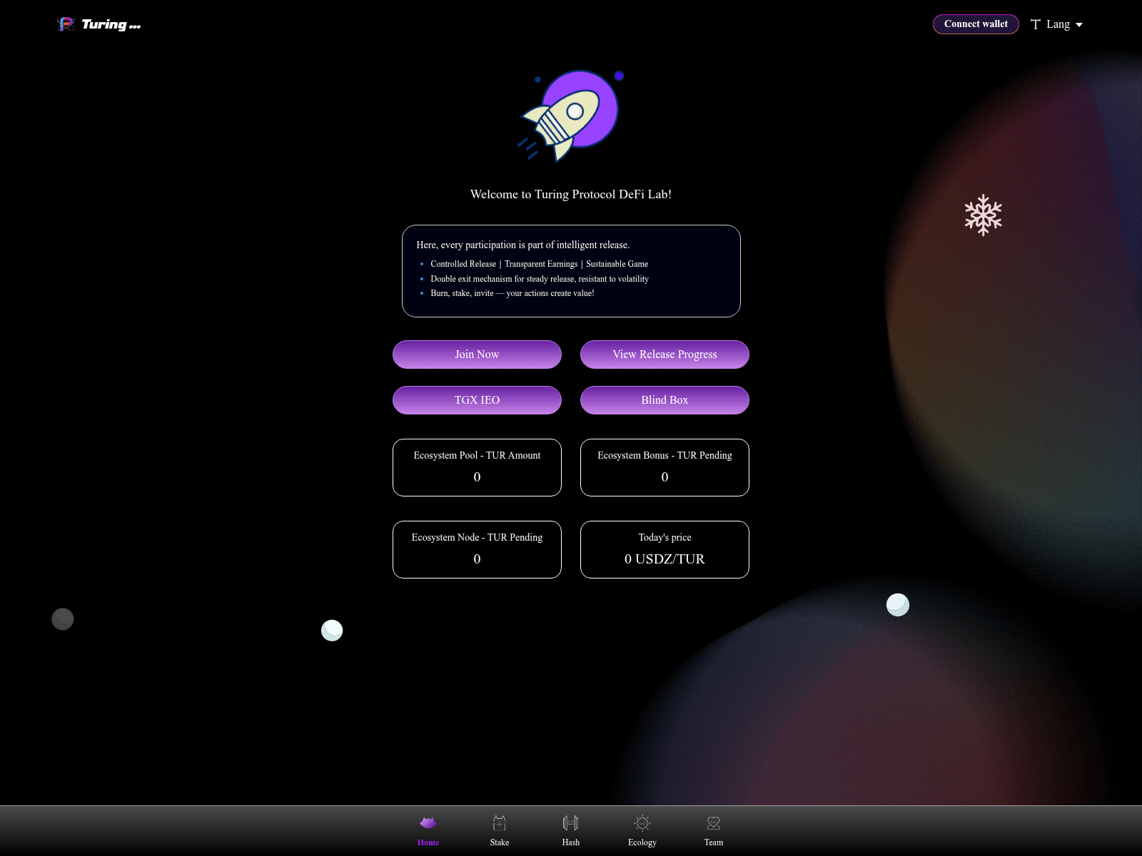 Forensic screenshot of testturing.tur.onl