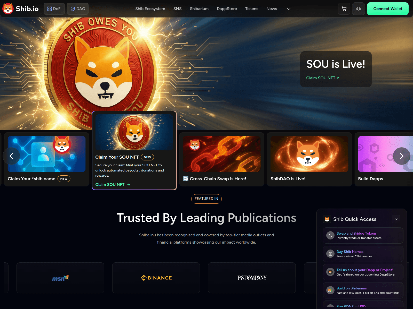 Screenshot of dropshib.com