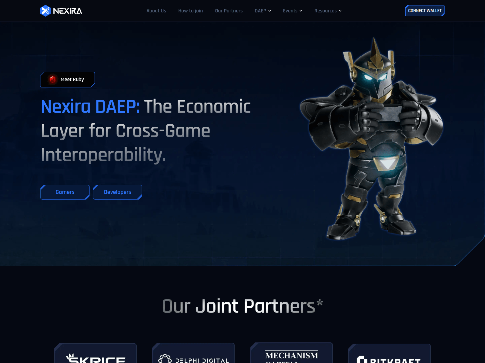 Screenshot of nexiradaep.co