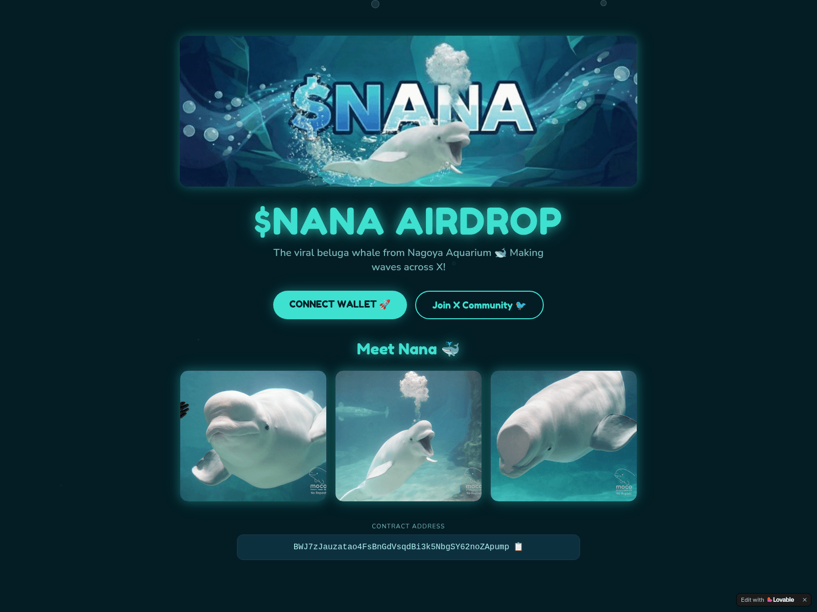 Screenshot of nanaonsolana.xyz