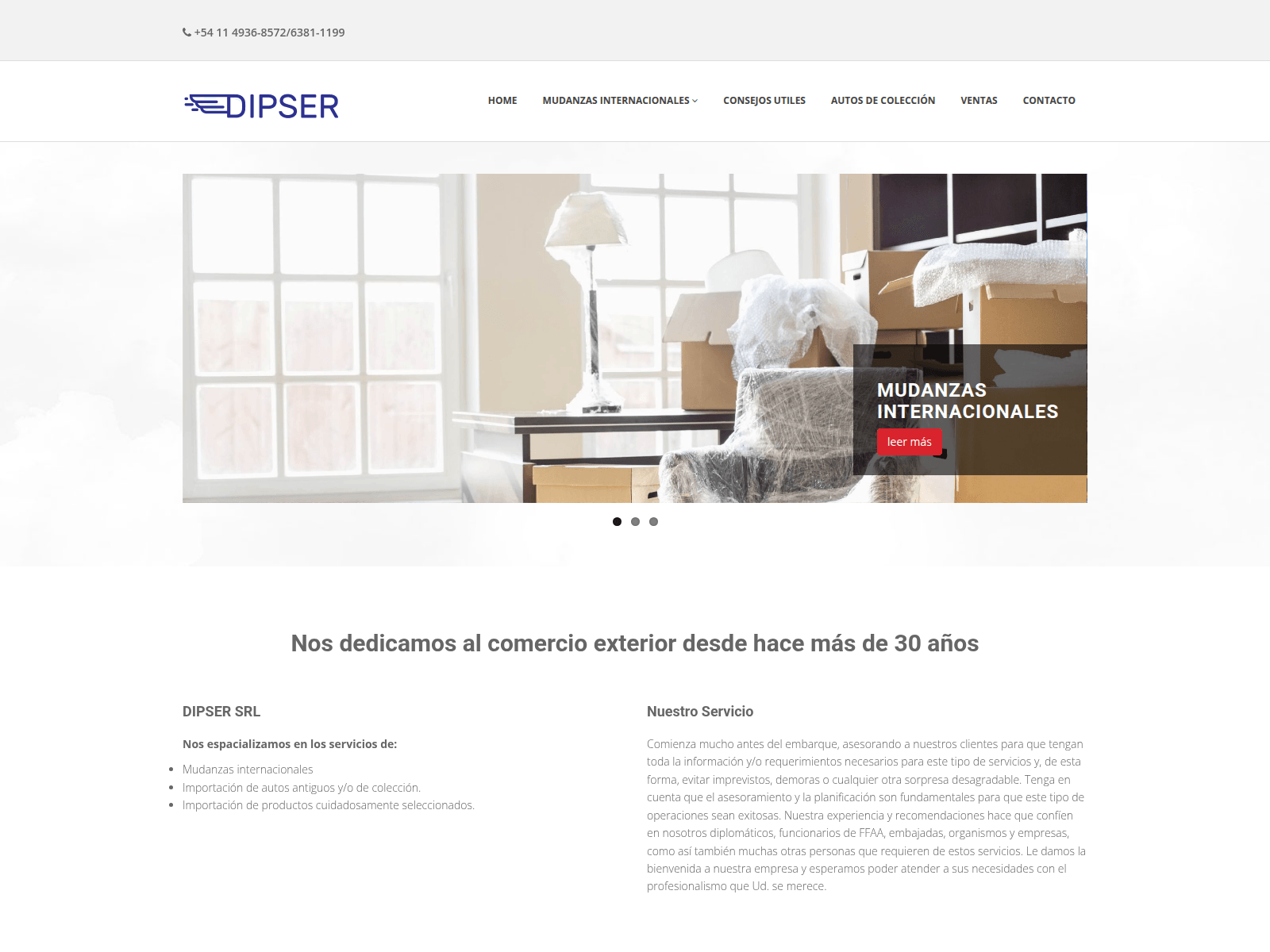 Screenshot of dipsersrl.com