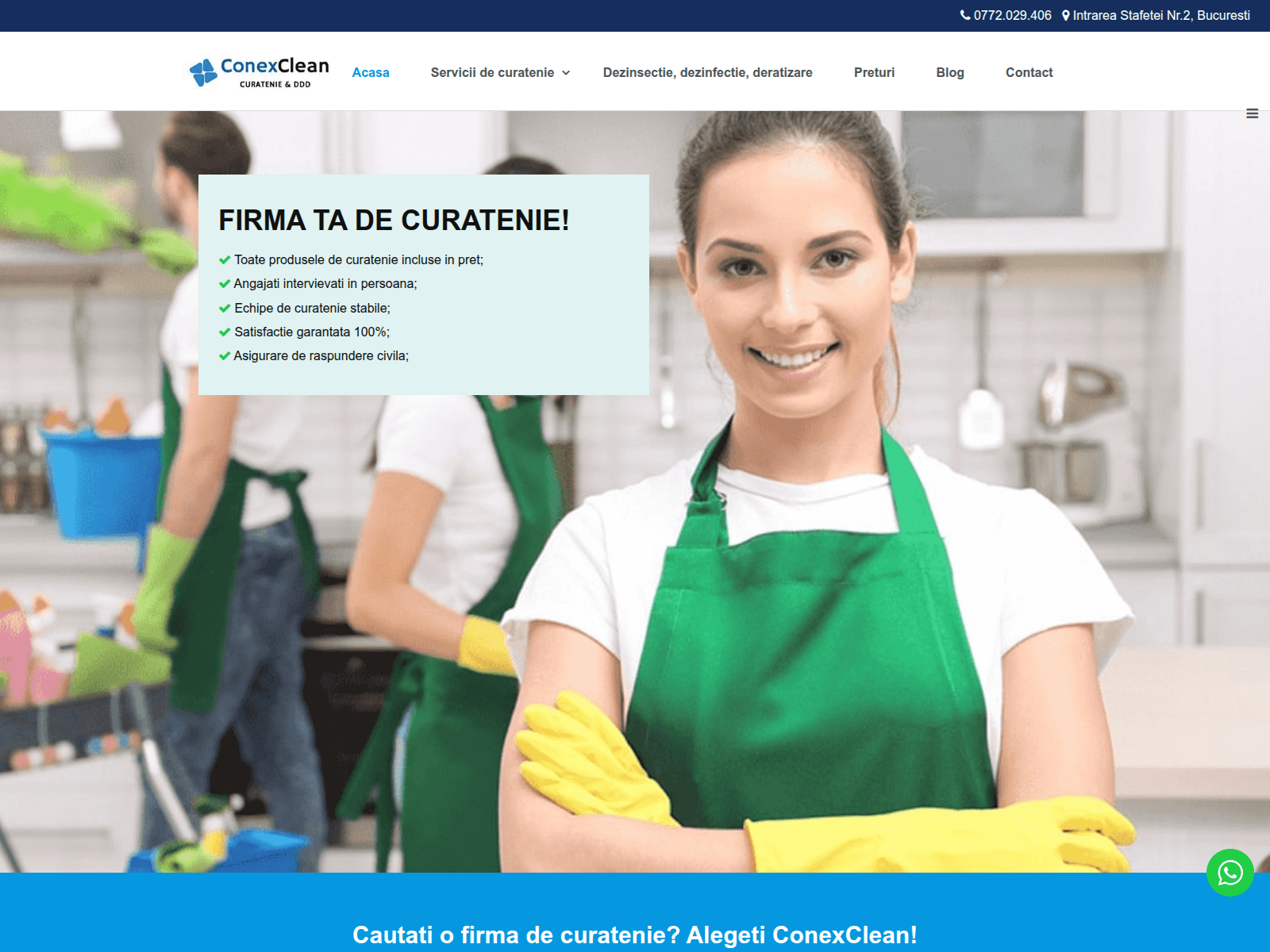 Screenshot of conexclean.com