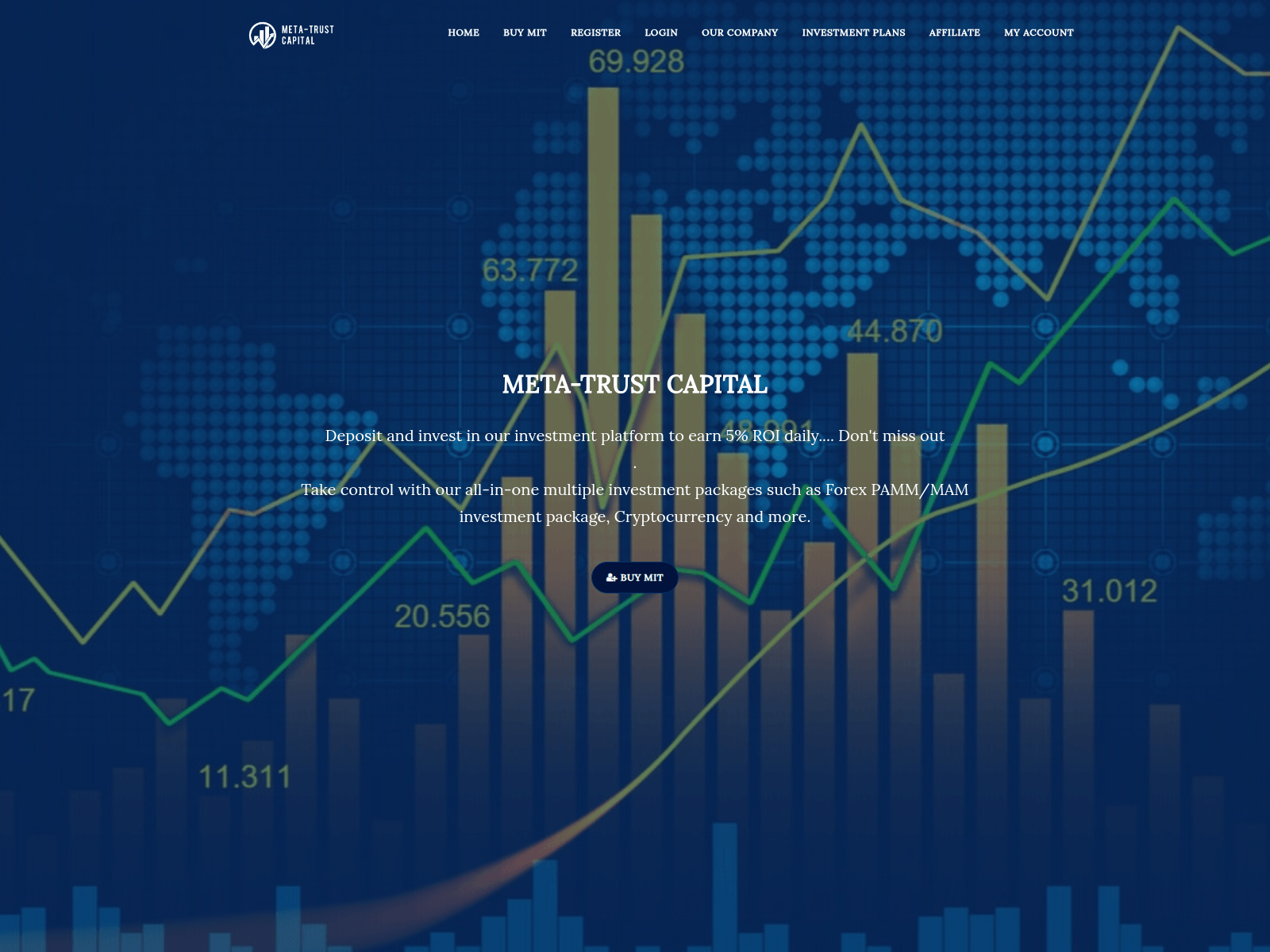 Screenshot of metatrustcapital.com