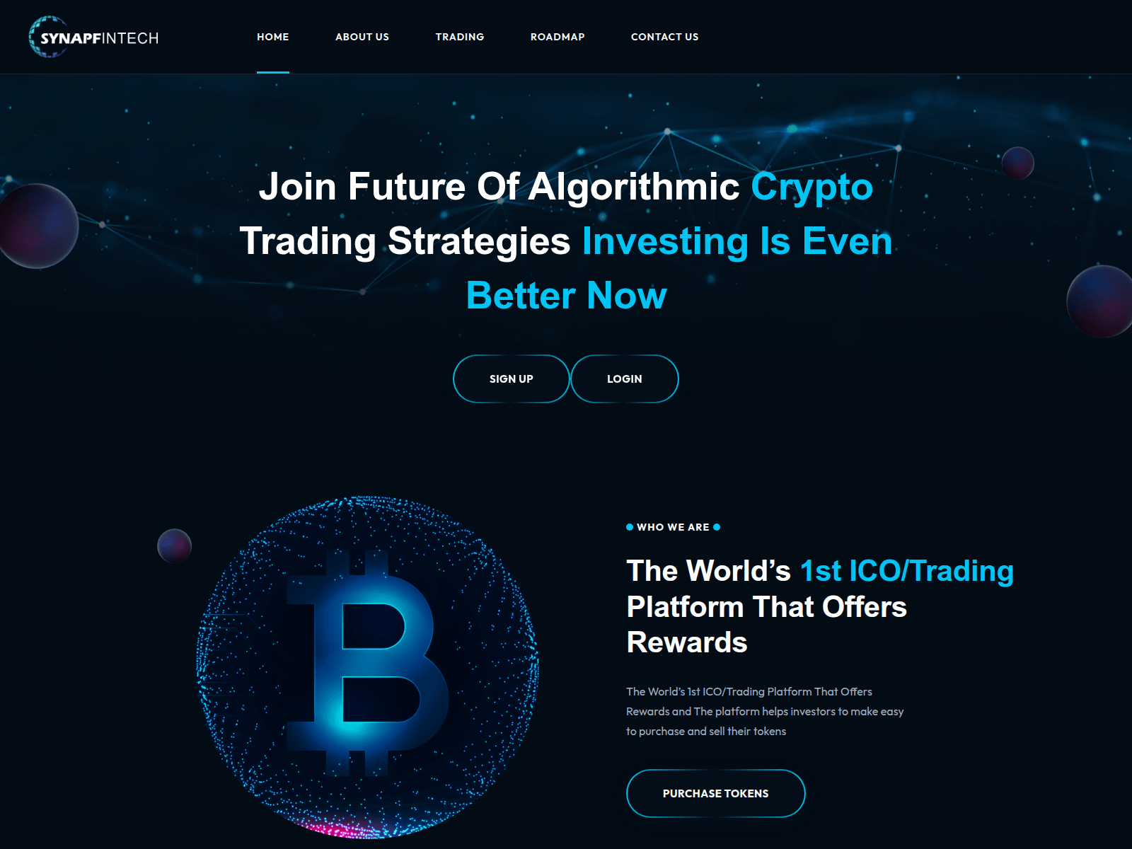 Screenshot of synapfintec.com