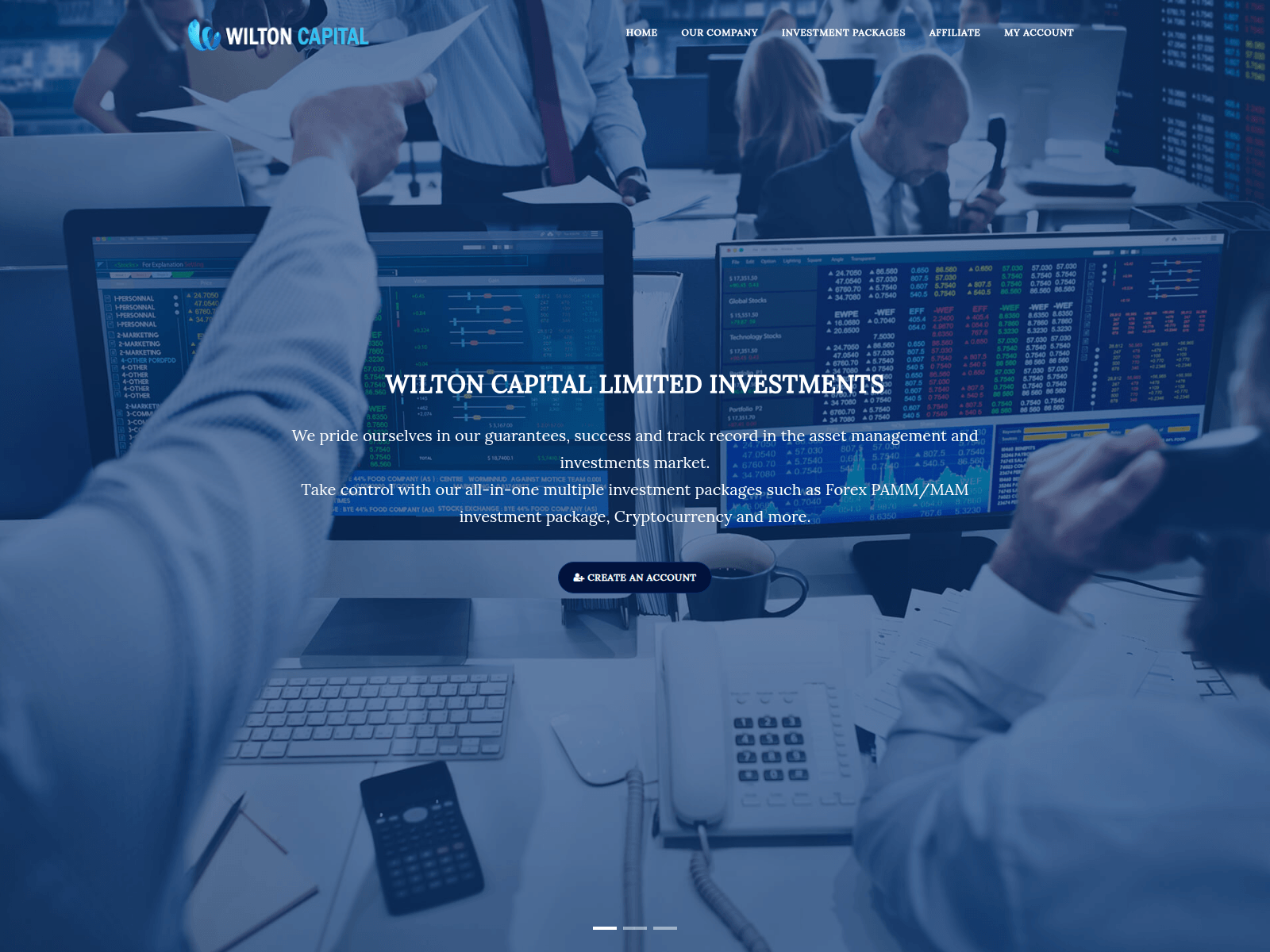 Forensic screenshot of wiltoncapitalltd.com