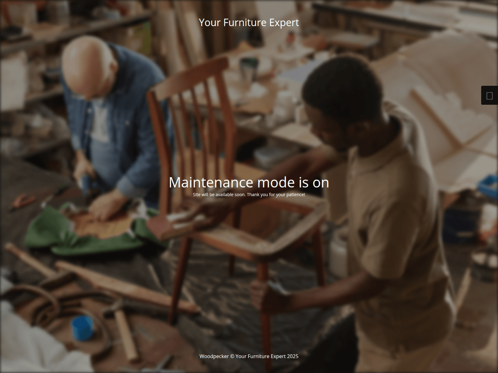 Screenshot of woodpecker.com.ng.pediatrics.com.ng
