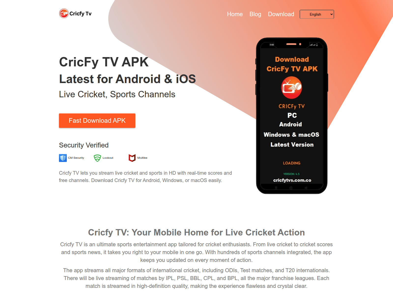 Screenshot of cricfytvs.com.co