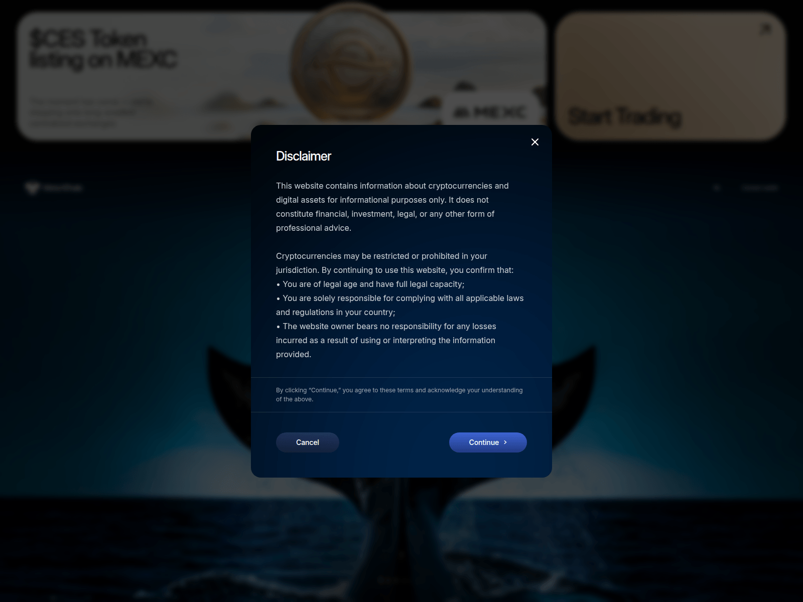 Screenshot of meta-whale.com
