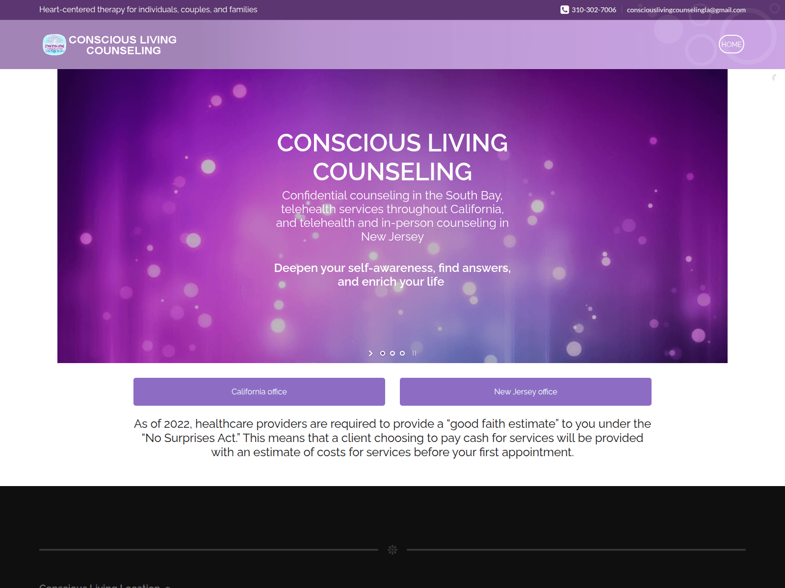 Screenshot of consciouslivingcounseling.com