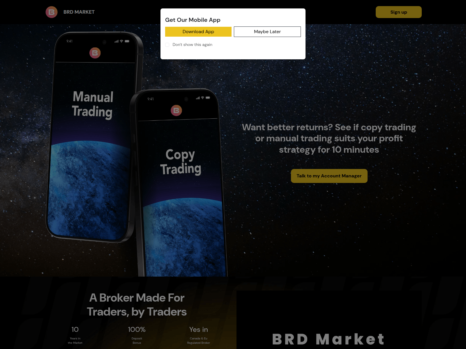 Forensic screenshot of brdmarket.com