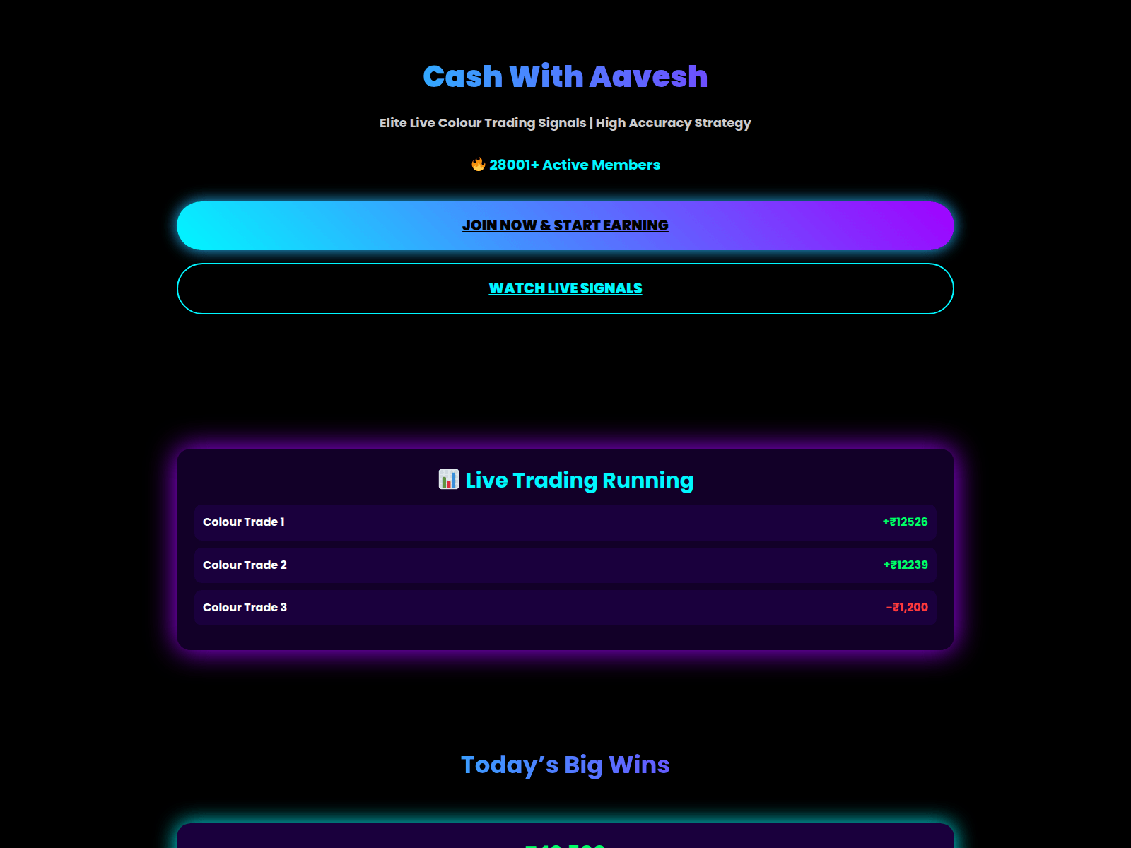 Screenshot of aavesh.vidway.site