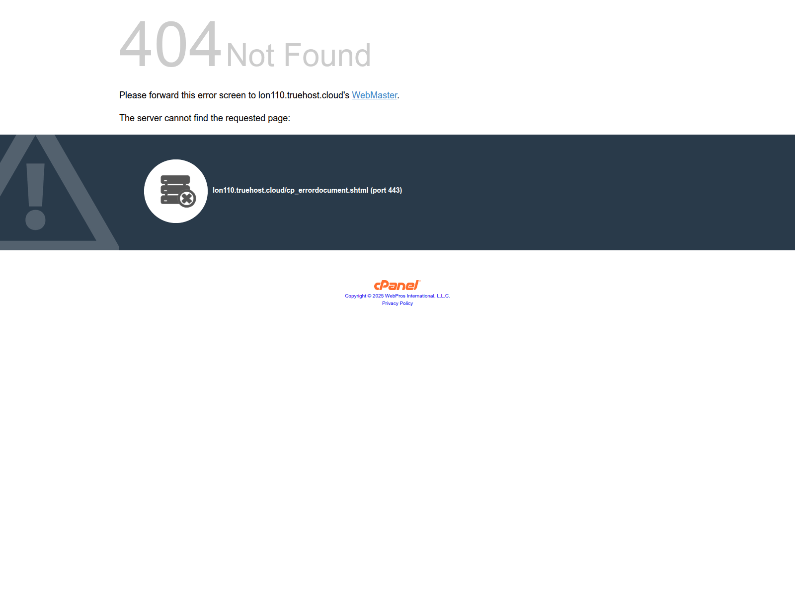 Screenshot of lon110.truehost.cloud