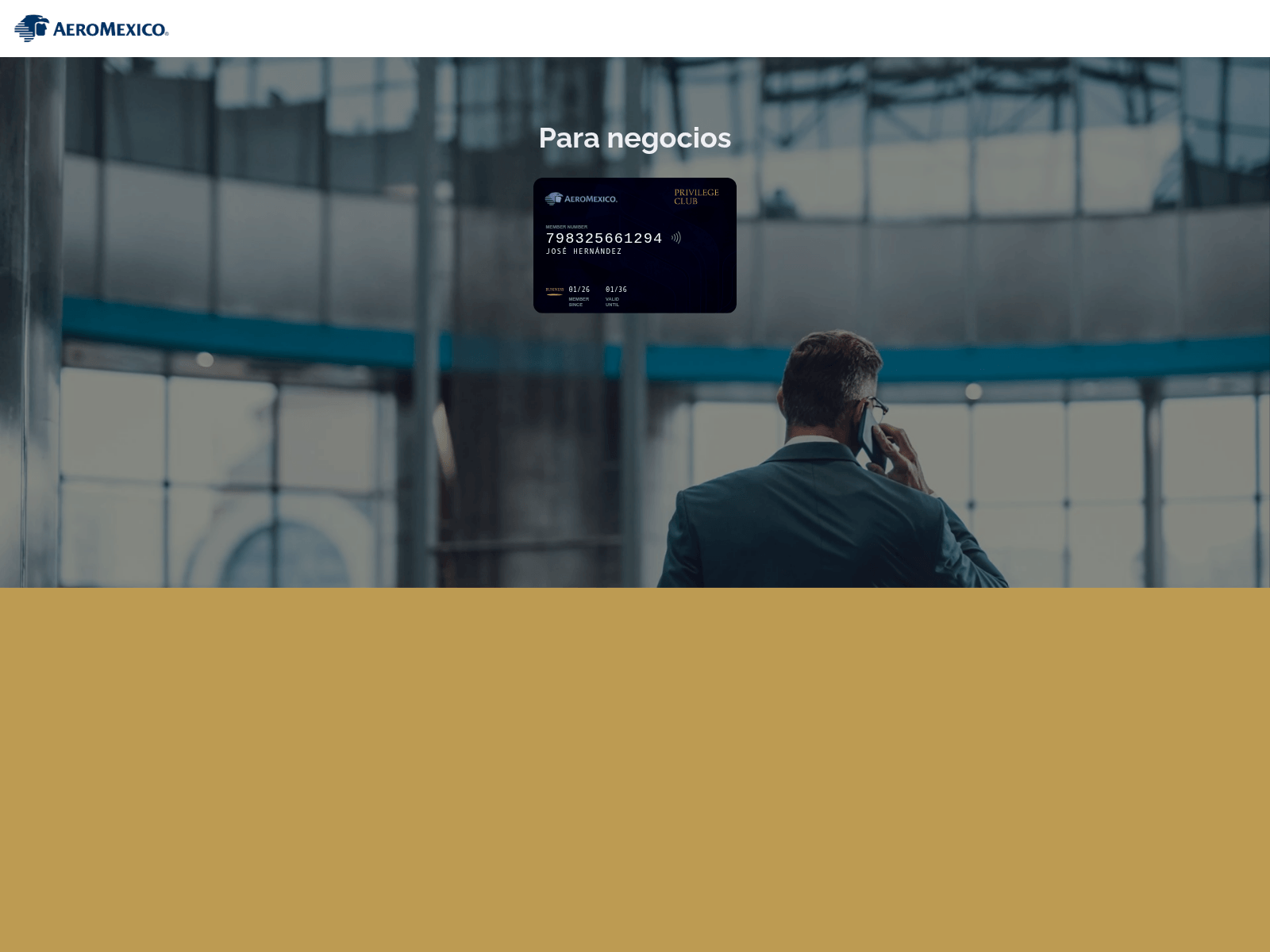 Screenshot of mexicoaircard.com