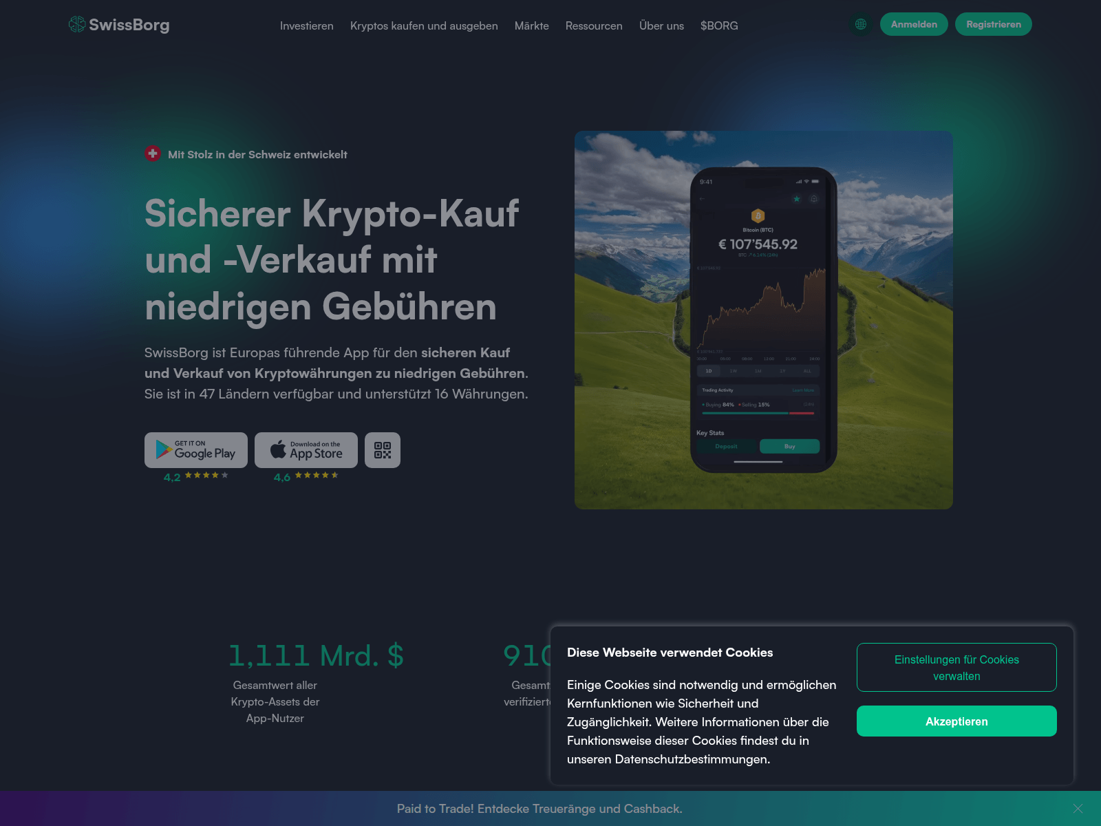 Screenshot of vorgang-swissborg.com