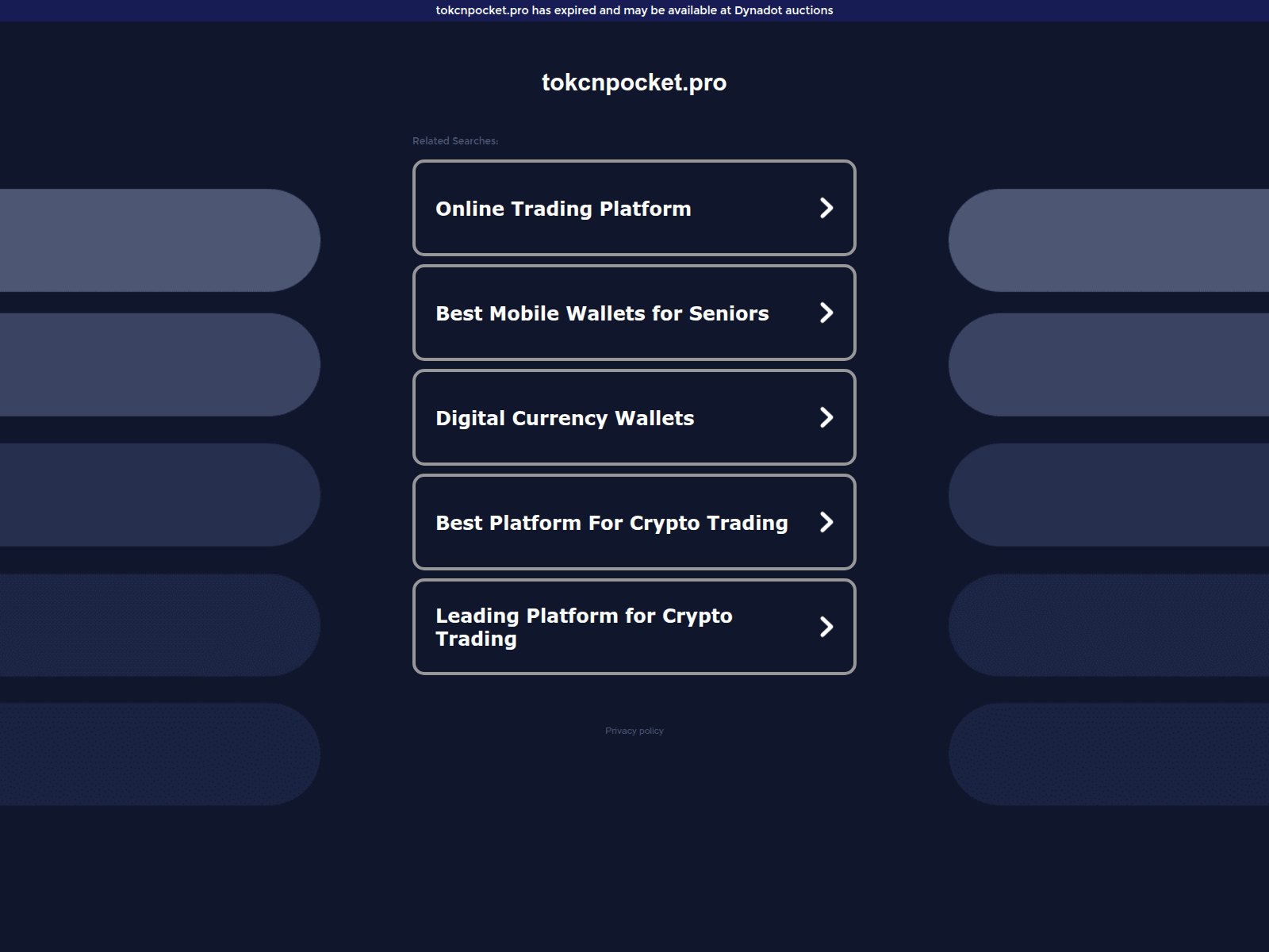 Screenshot of tokcnpocket.pro