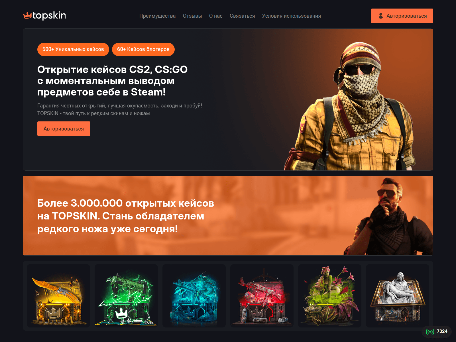Forensic screenshot of toppskin.com