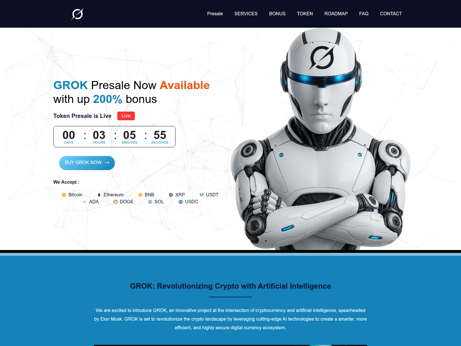 Forensic screenshot of grok-pay.com