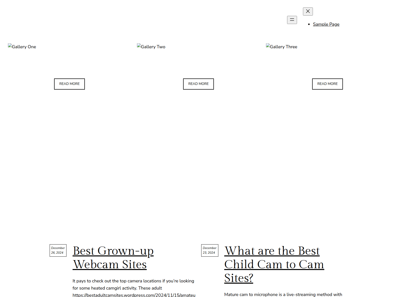 Forensic screenshot of universitywebsit-5lzl2gwfv4.live-website.com