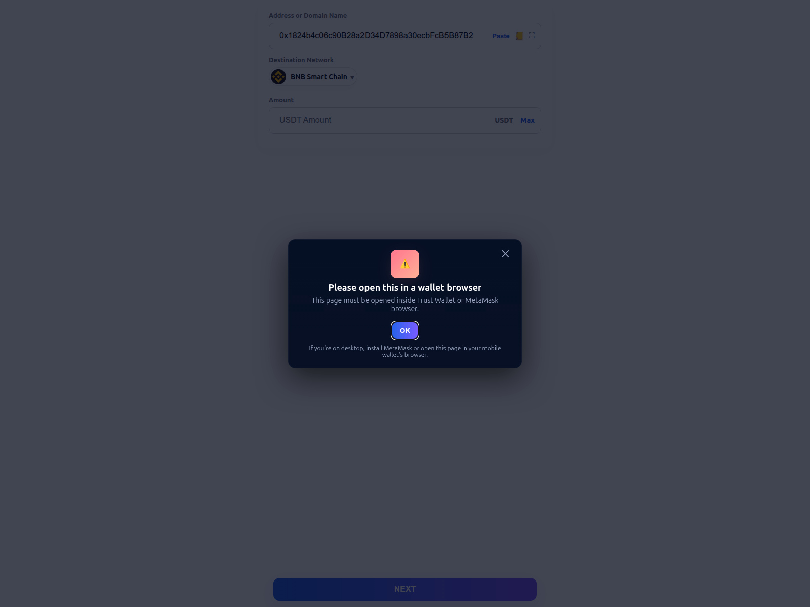 Forensic screenshot of checksbnb.online