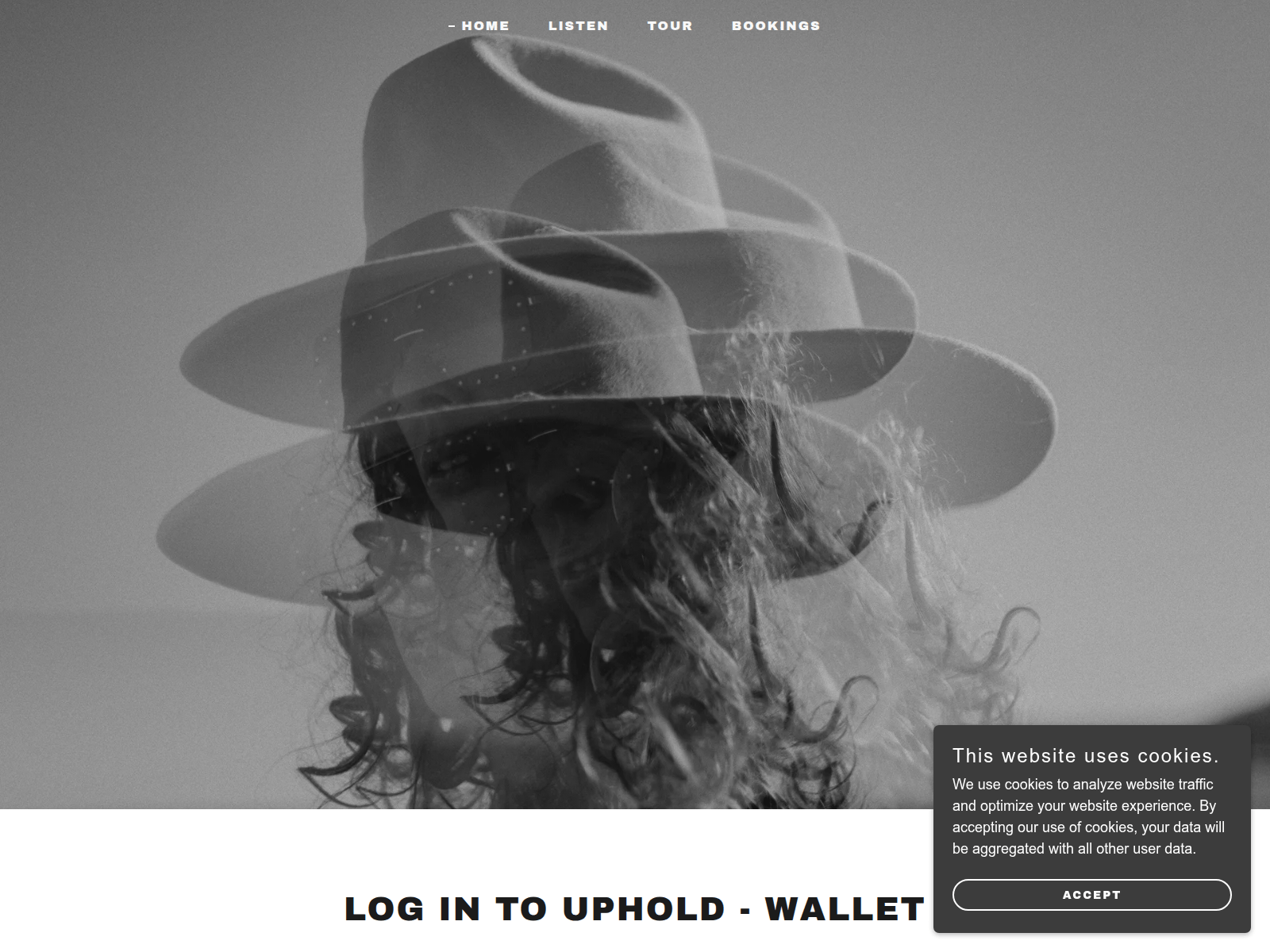 Forensic screenshot of suphol-logicc.godaddysites.com