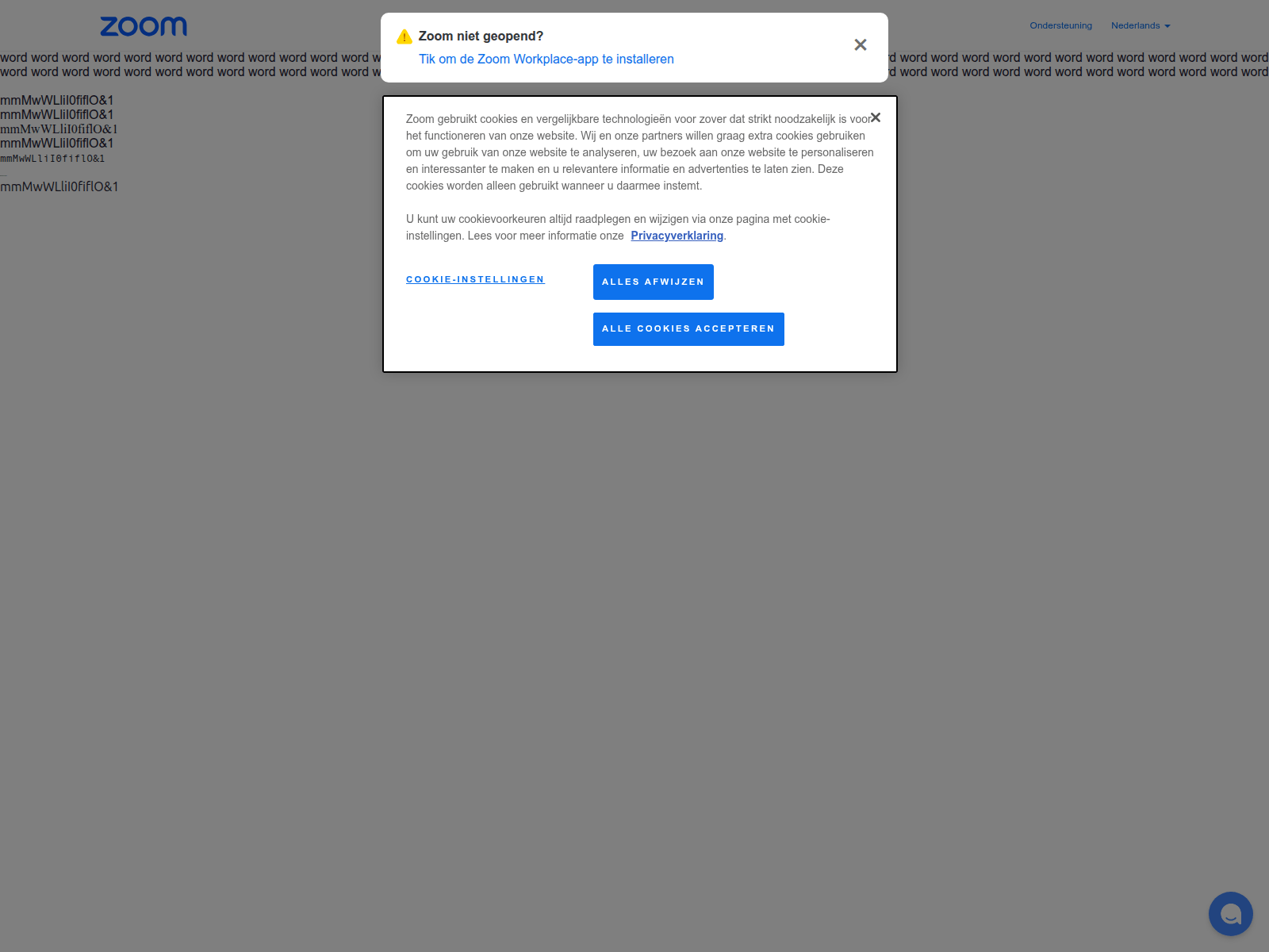 Forensic screenshot of zoomwithjudy.com