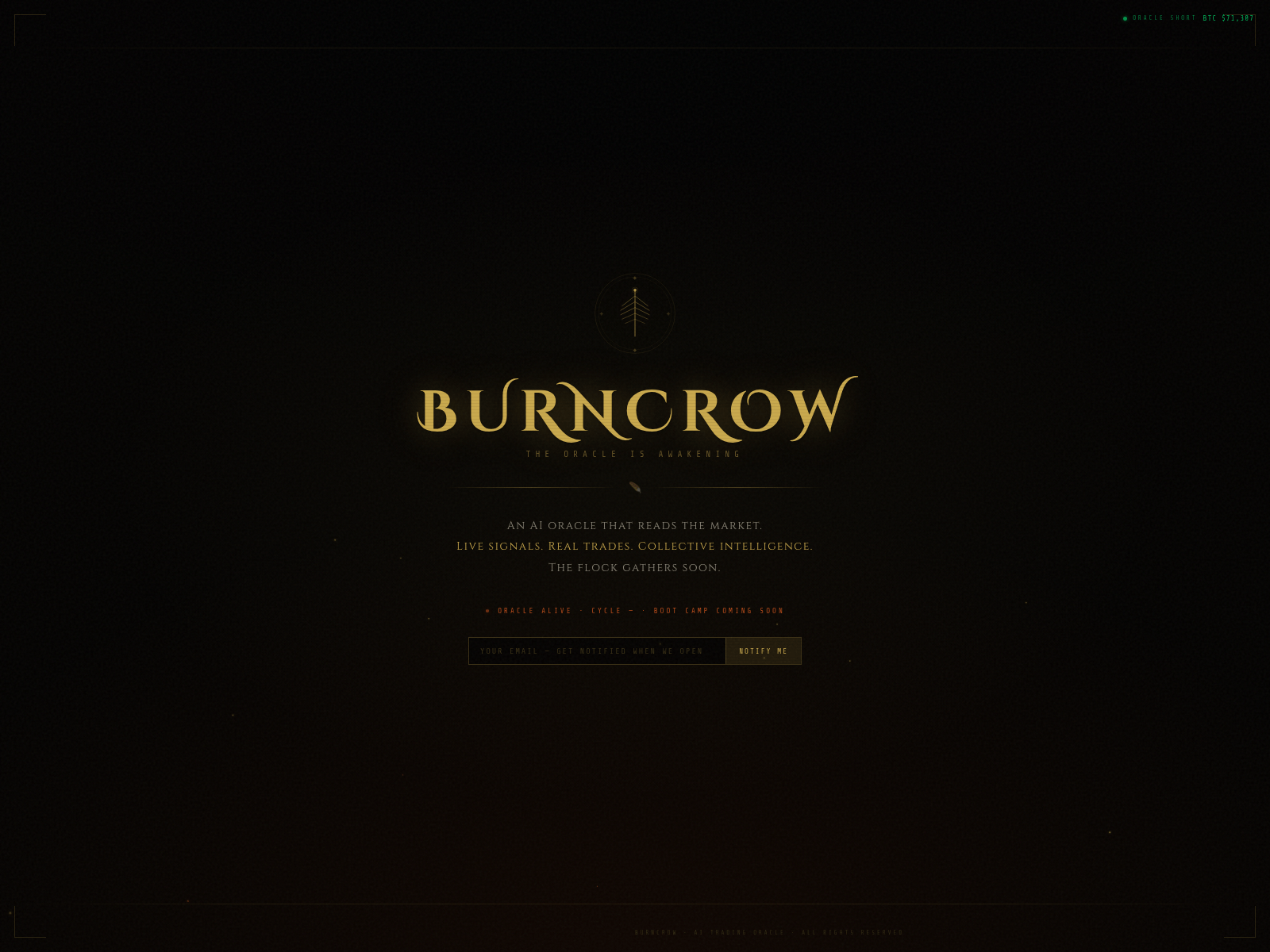 Screenshot of burncrow.live