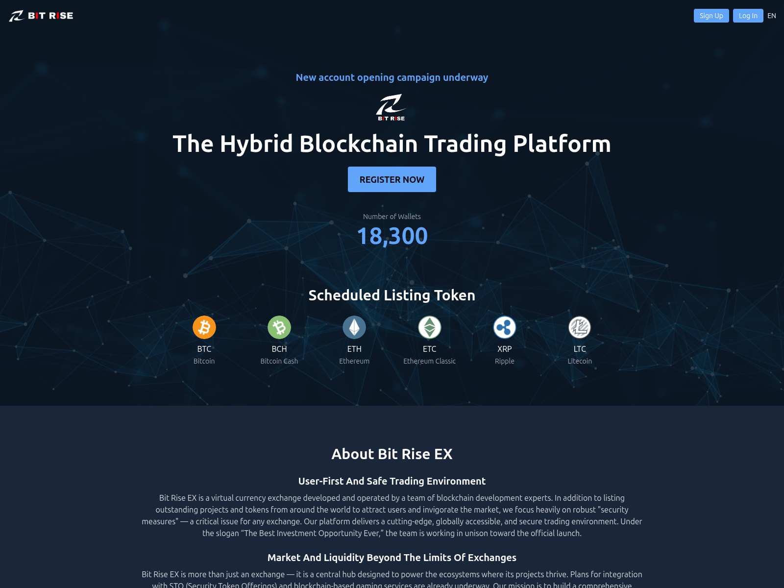 Screenshot of bit-rise-exchange.com