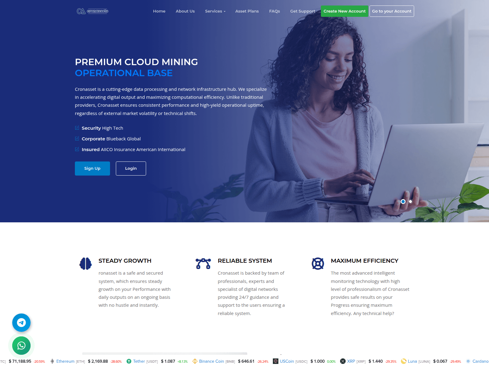 Screenshot of cronasset.com