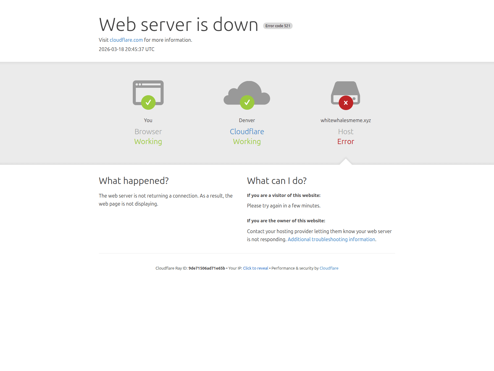 Forensic screenshot of whitewhalesmeme.xyz