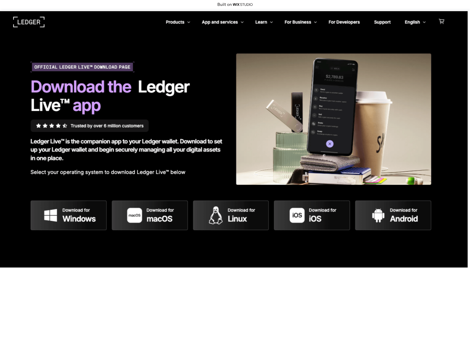 Forensic screenshot of get-ledgr.wixstudio.com