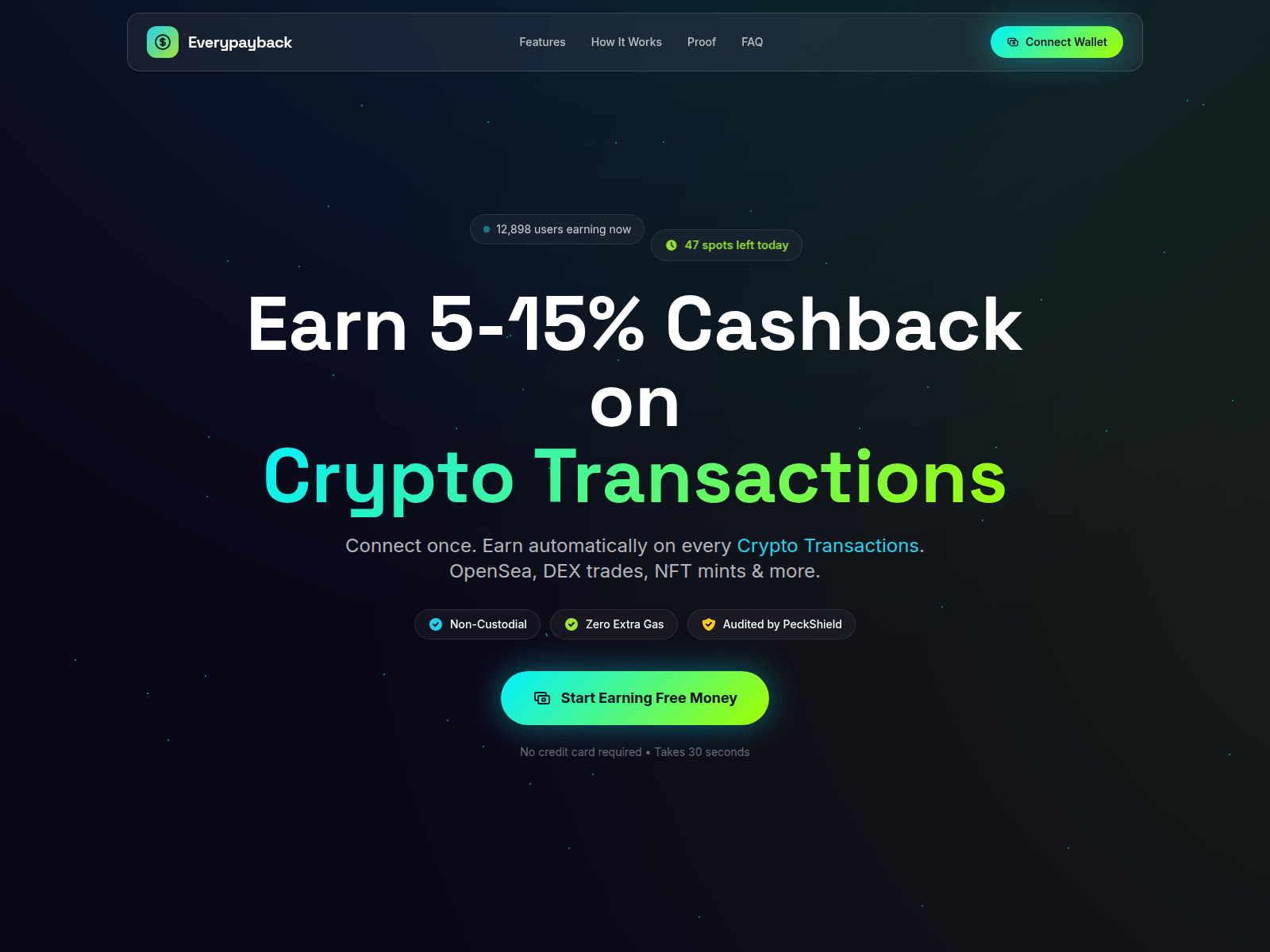 Forensic screenshot of everypayback.com