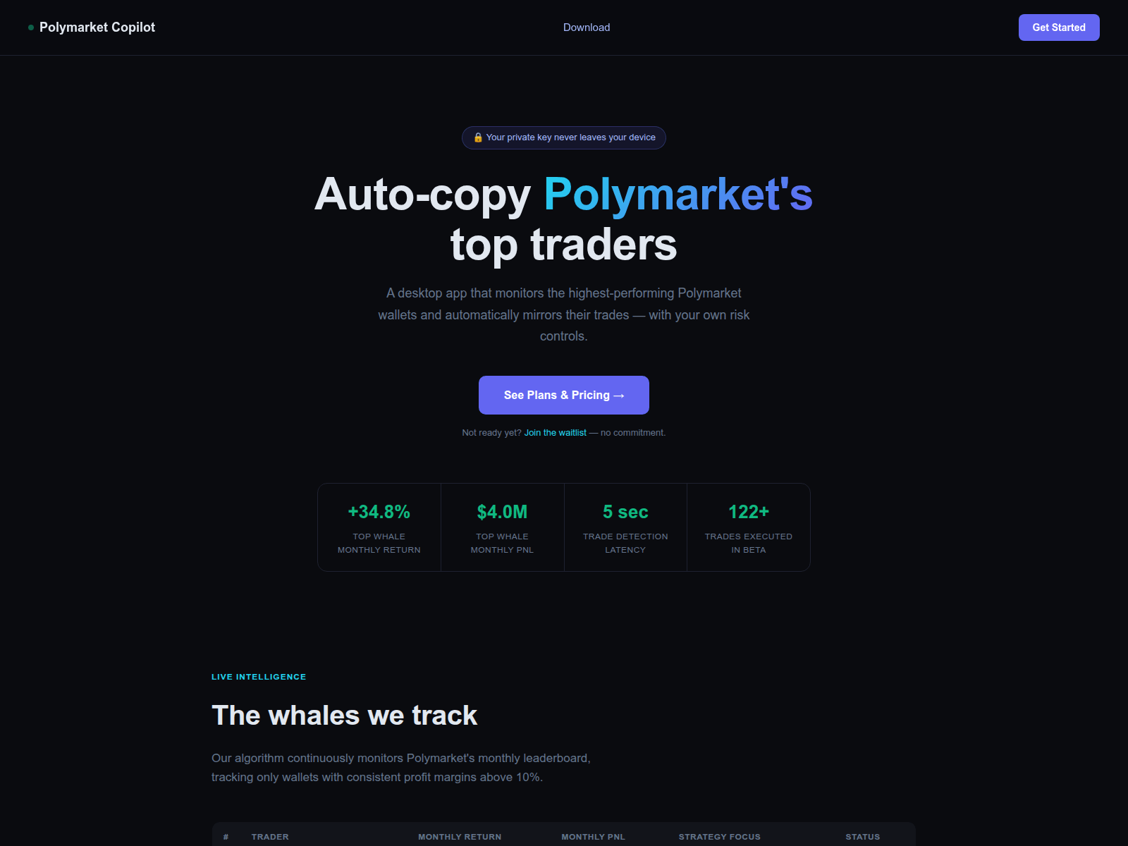 Forensic screenshot of polymarketwhales.xyz