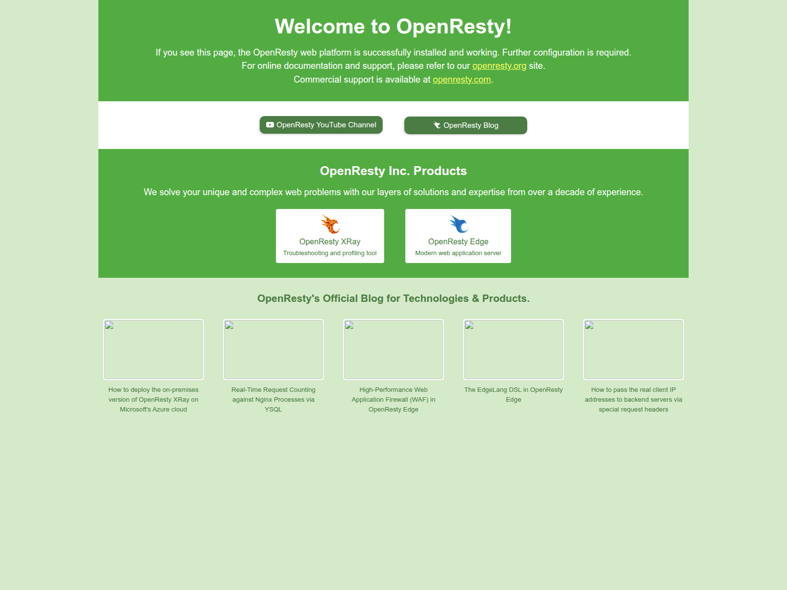 Screenshot of txdmv.fxibp.life