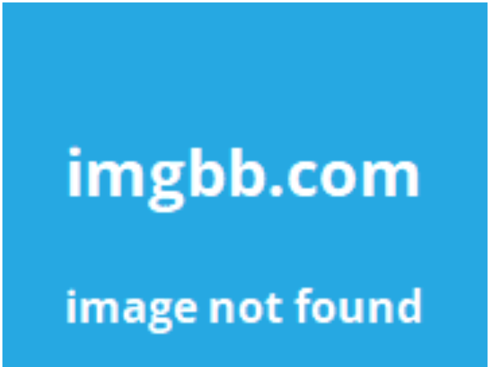 Forensic screenshot of official-trzor-bridge.pages.dev