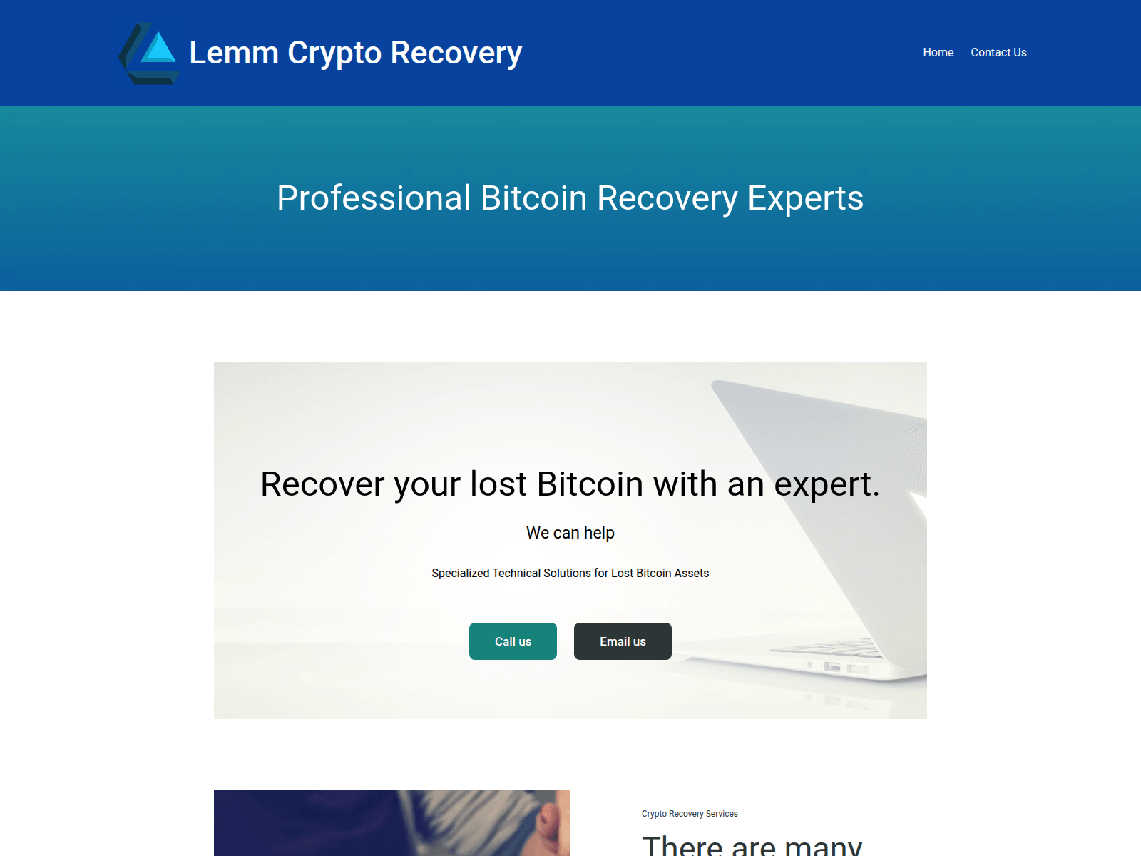 Screenshot of lemmcryptorecovery.com