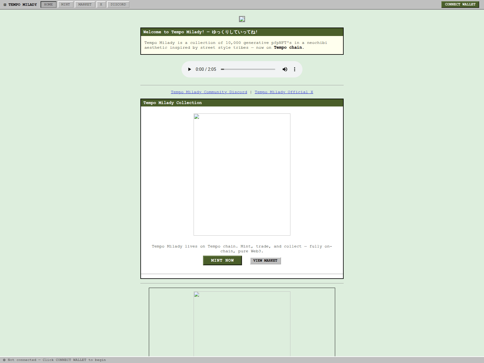 Forensic screenshot of tempomilady.xyz