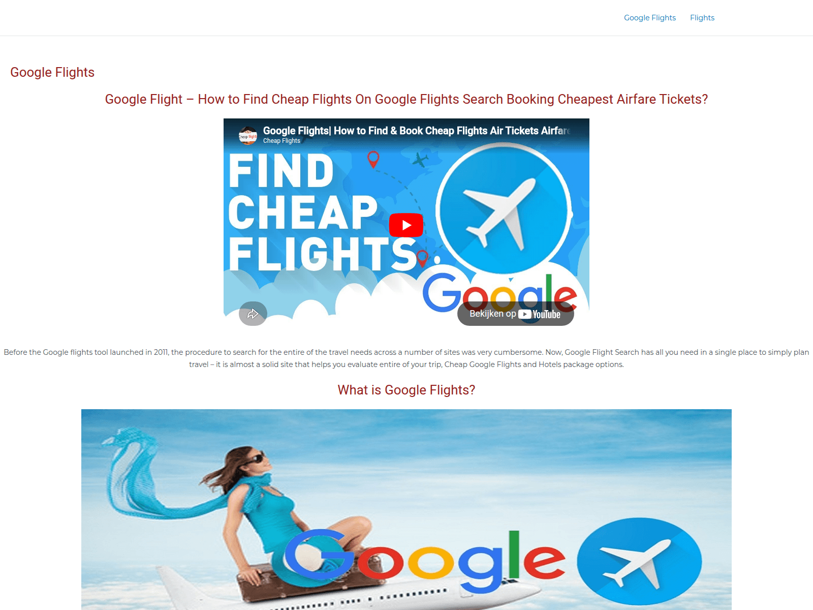 Screenshot of www.google-flights.club