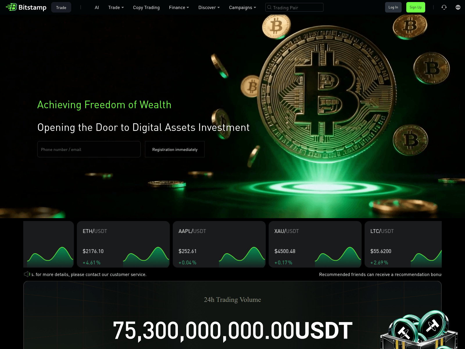 Forensic screenshot of bitstamp.cyou