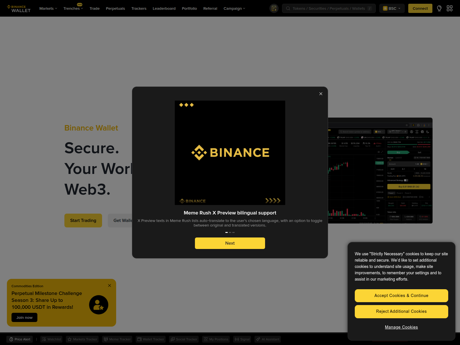 Forensic screenshot of legitimation-binance.com