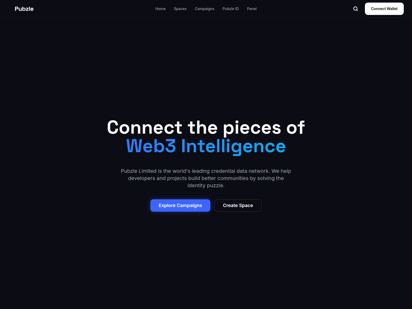 Forensic screenshot of pubzle.io