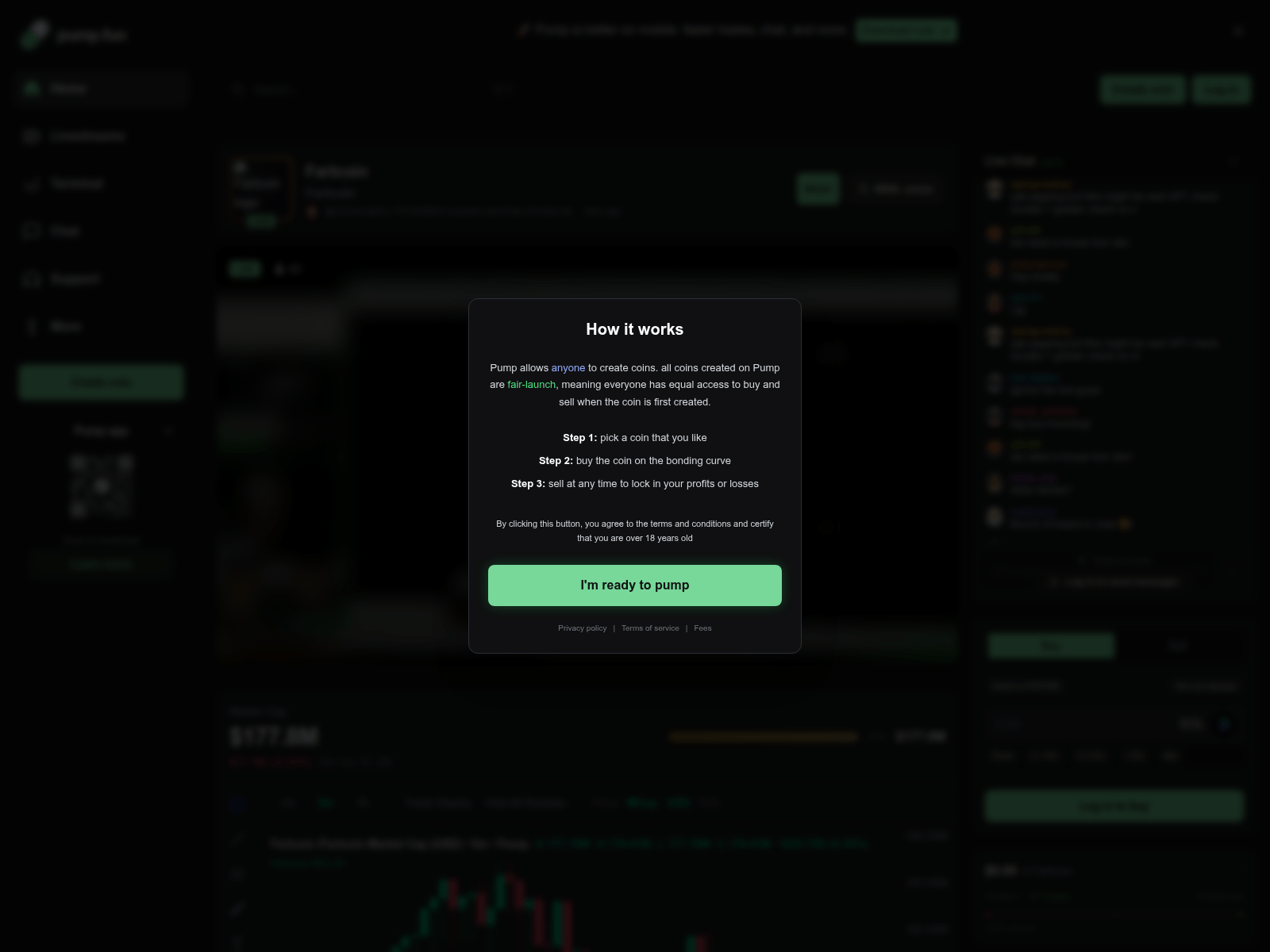 Screenshot of xn--ve-pump-qfba.fun