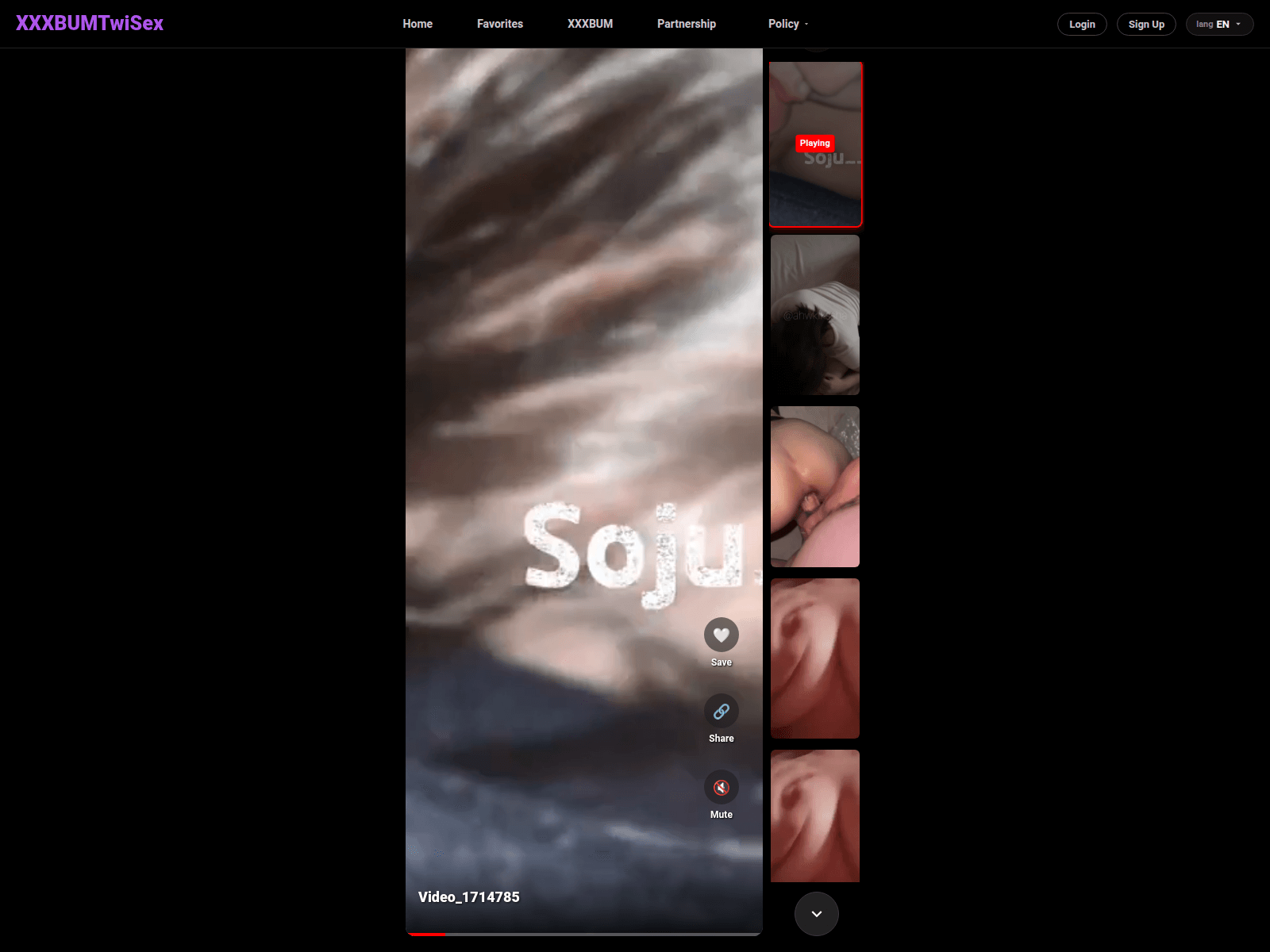 Forensic screenshot of xxbum-twisex.com