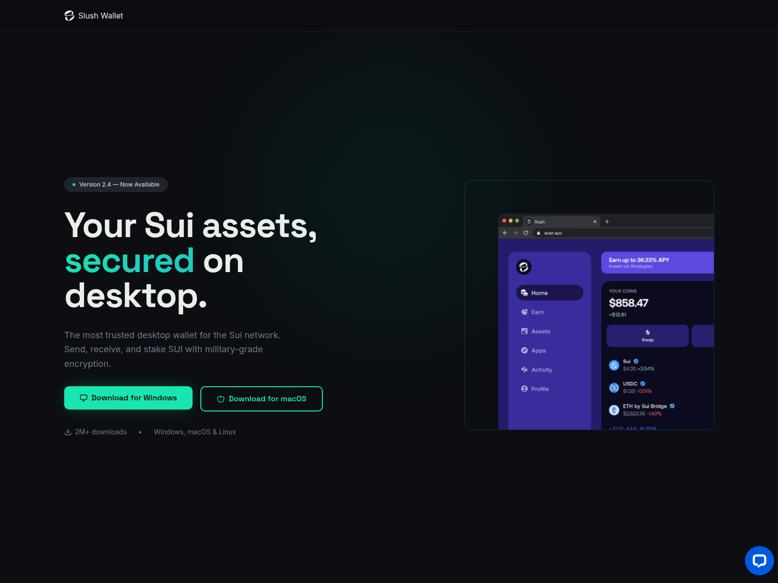 Forensic screenshot of slushwalletdesktop.app