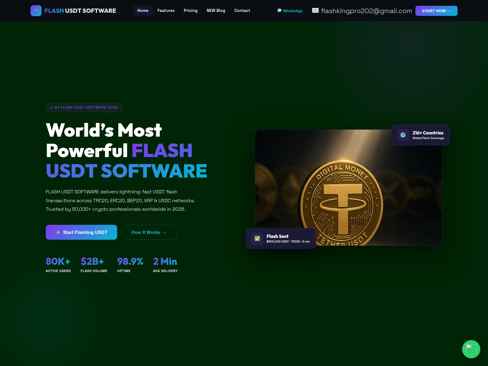 Screenshot of flashusdtsoftware.sale